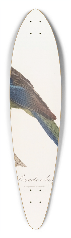Jacques Barraband - 1ere Varit de la Perruche  large queue 39.3 inch art pintail longboard deck