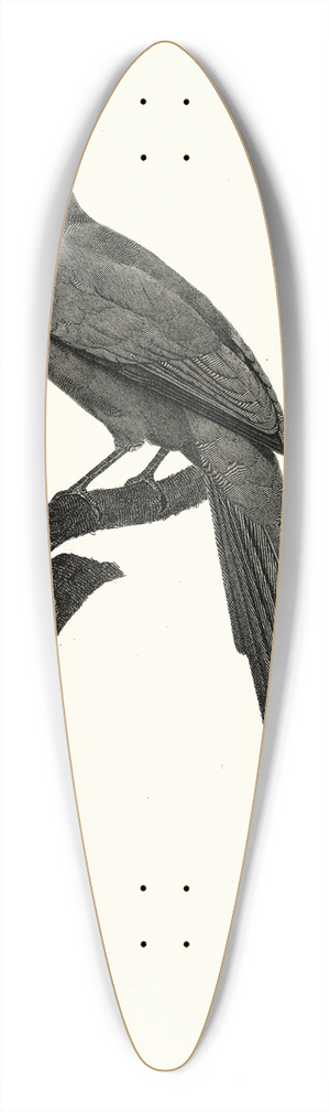 Jacques Barraband - Le Momot domb. 39.3 inch art pintail longboard deck