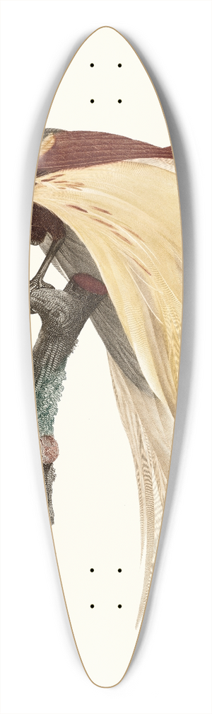 Jacques Barraband - Le petit Oiseau de paradis Emeraude, mle. 39.3 inch art pintail longboard deck