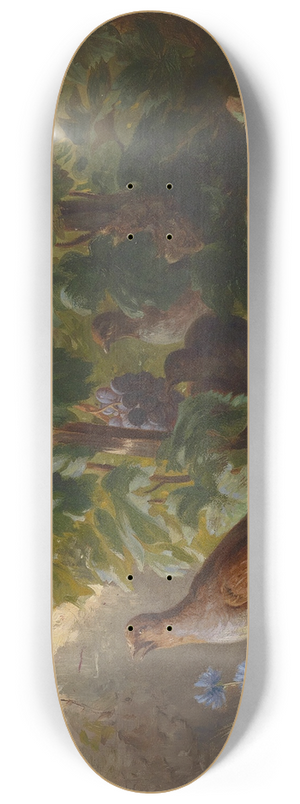 Josef Schuster - Rebhhner 8.25 inch art skate deck