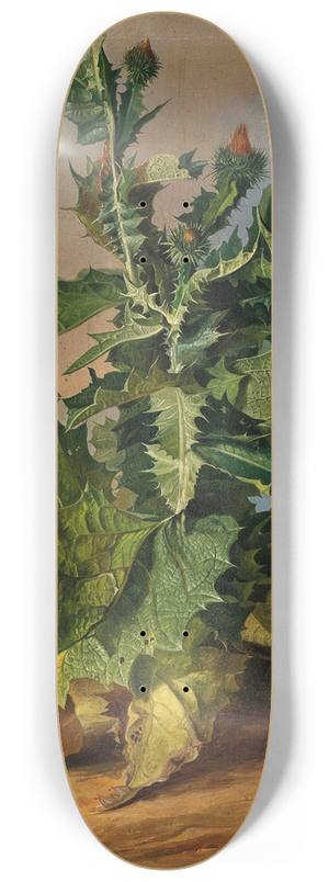 Josef Schuster - Thistles 8.25 inch art skate deck