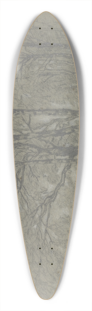 Jakob Maurer - A sapling birch grove 39.3 inch art pintail longboard deck