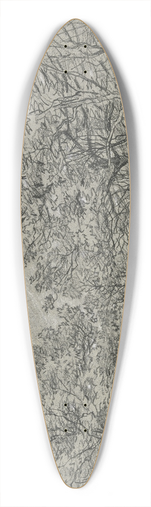 Jakob Maurer - Forest section 39.3 inch art pintail longboard deck