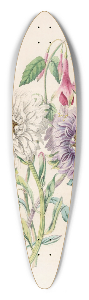 James Ackerman - China-Aster And Fuchsia 39.3 inch art pintail longboard deck