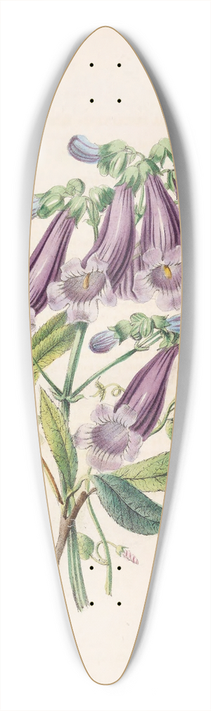 James Ackerman - Jacaranda, Tormantosa And Arbutus 39.3 inch art pintail longboard deck
