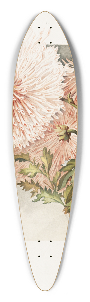 James Callowhill - Chrysanthemums 39.3 inch art pintail longboard deck