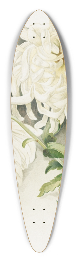 James Callowhill - Moonlight 39.3 inch art pintail longboard deck