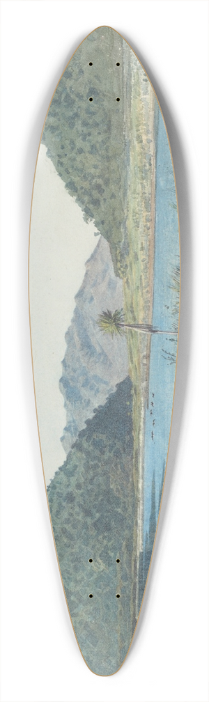 James Crowe Richmond - Lagoon, Grey River 39.3 inch art pintail longboard deck
