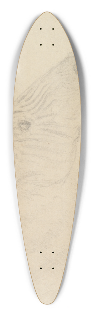 James de Carle Sowerby - Zebra 39.3 inch art pintail longboard deck