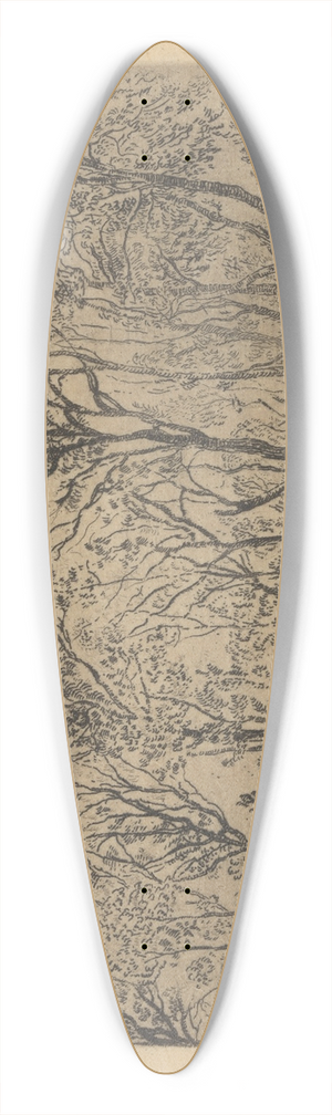 James Ensor - Bosje 39.3 inch art pintail longboard deck