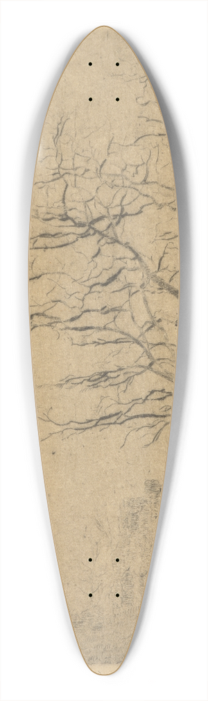 James Ensor - Lacacia 39.3 inch art pintail longboard deck