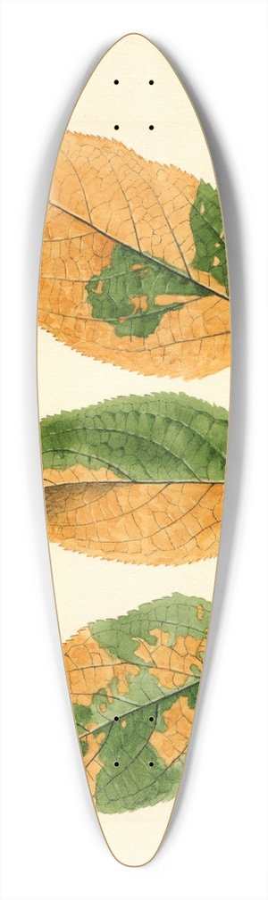 James Marion Shull - Malus domestica 39.3 inch art pintail longboard deck