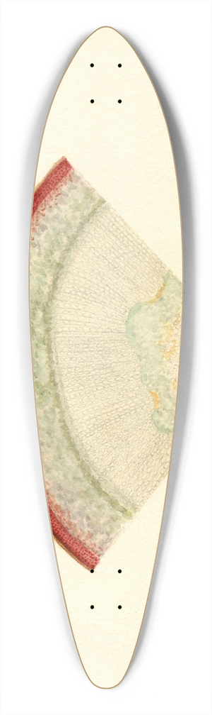 James Marion Shull - Malus domestica 39.3 inch art pintail longboard deck