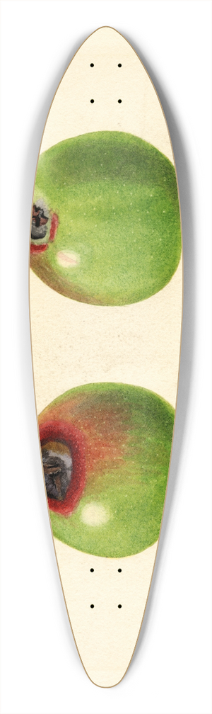 James Marion Shull - Malus domestica 39.3 inch art pintail longboard deck