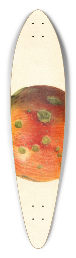 James Marion Shull - Malus domestica: Smith Cider 39.3 inch art pintail longboard deck