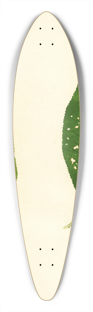 James Marion Shull - Prunus persica 39.3 inch art pintail longboard deck