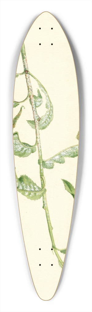 James Marion Shull - Prunus persica 39.3 inch art pintail longboard deck