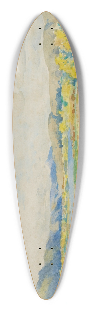 James Nairn - Hutt Valley 39.3 inch art pintail longboard deck