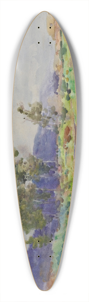 James Nairn - Silverstream 39.3 inch art pintail longboard deck