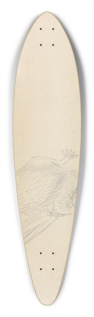 James Sowerby - A Barbastelle Bat 39.3 inch art pintail longboard deck