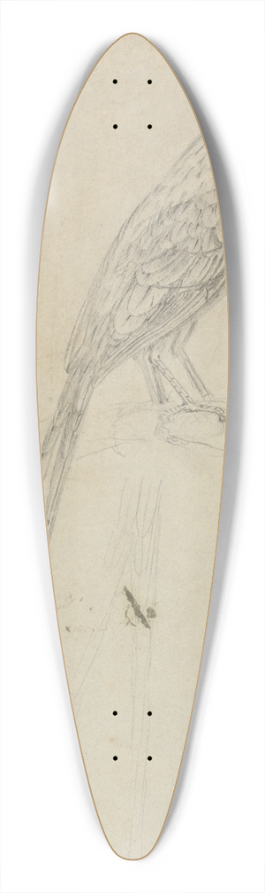 James Sowerby - A Bird 39.3 inch art pintail longboard deck