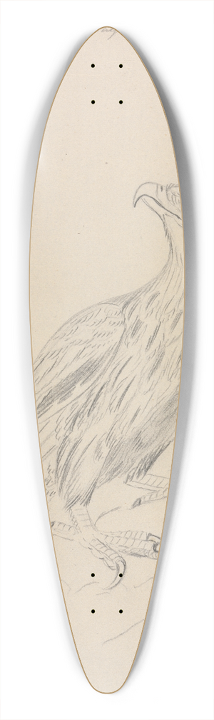 James Sowerby - A Sea Eagle 39.3 inch art pintail longboard deck