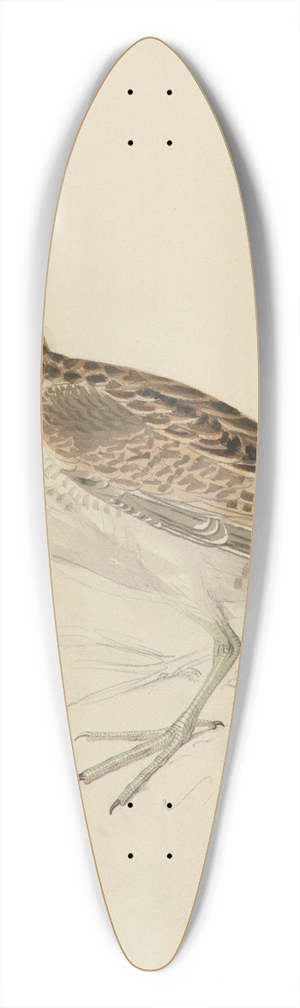 James Sowerby - A Snipe 39.3 inch art pintail longboard deck