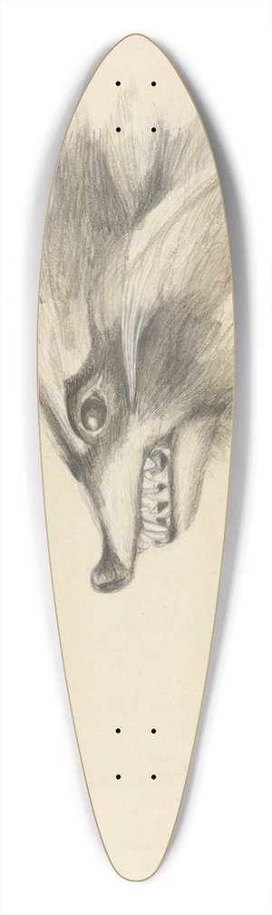James Sowerby - Head of a Racoon 39.3 inch art pintail longboard deck