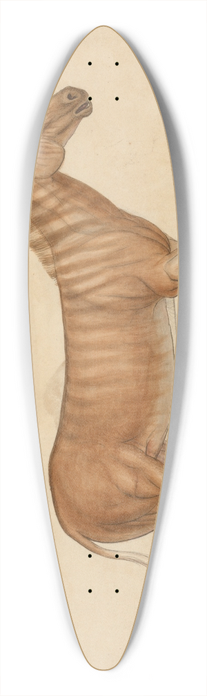 James Sowerby - Quagga Zebra 39.3 inch art pintail longboard deck