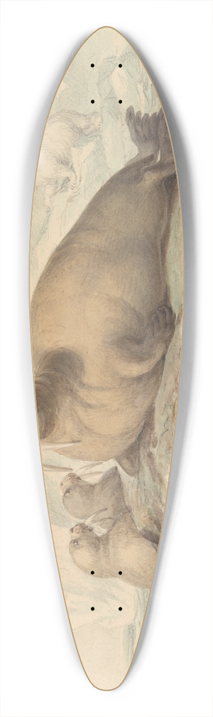 James Stewart - Walruses 39.3 inch art pintail longboard deck