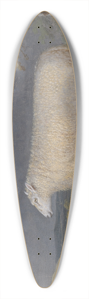 James Ward - A Border Leicester Ewe 39.3 inch art pintail longboard deck