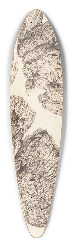 James Ward - Eagles 39.3 inch art pintail longboard deck