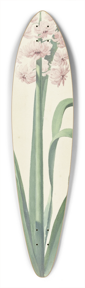Jan Augustini - De roze hyacint Rex Rubrorum 39.3 inch art pintail longboard deck