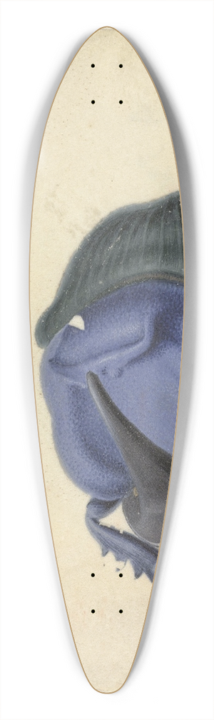 Jan Augustin van der Goes - Blauwe kever 39.3 inch art pintail longboard deck