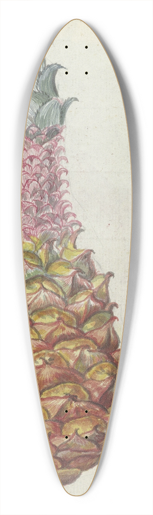 Jan Brandes - Ananas. 39.3 inch art pintail longboard deck