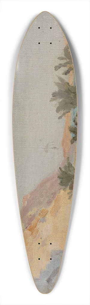 Jan Cigliski - Spain (Alicante) 39.3 inch art pintail longboard deck