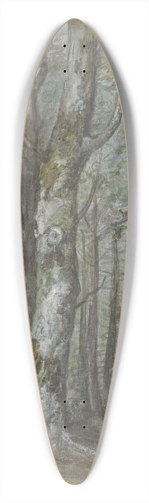 Jan Dasveldt - Boomstudie 39.3 inch art pintail longboard deck