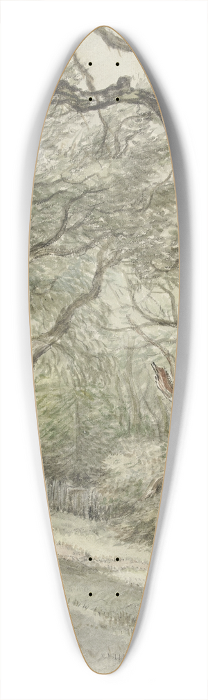 Jan Hulswit - Bosgezicht 39.3 inch art pintail longboard deck