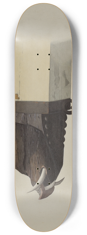 Joseph Goldberg - Boars Head 8.25 inch art skate deck