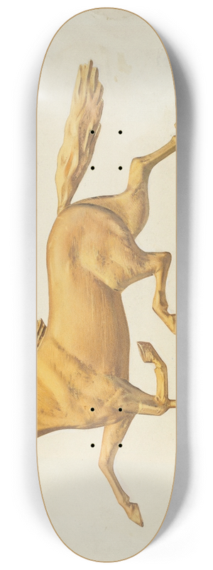 Joseph Goldberg - Weather Vane 8.25 inch art skate deck