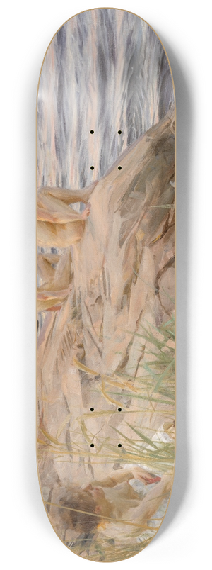 Anders Zorn - Outdoors 8.25 inch art skate deck