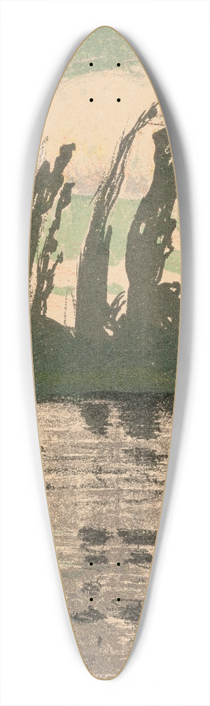 Jan Stanislawski - Topole 39.3 inch art pintail longboard deck