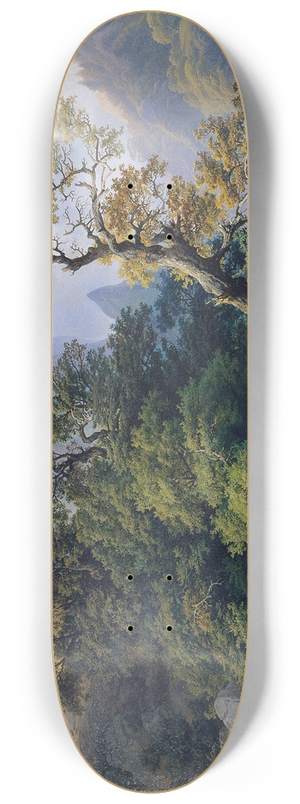 Joseph Holzer - Berglandschaft 8.25 inch art skate deck