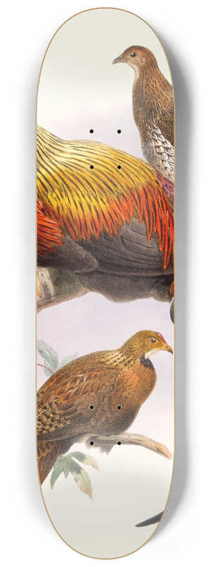 Joseph Smit - Gallus La-Fayettei. 8.25 inch art skate deck