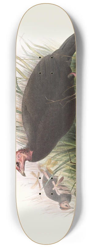 Joseph Smit - Phasidus Niger 8.25 inch art skate deck Joseph Smit - Phasidus Niger 8.25 inch art skate deck