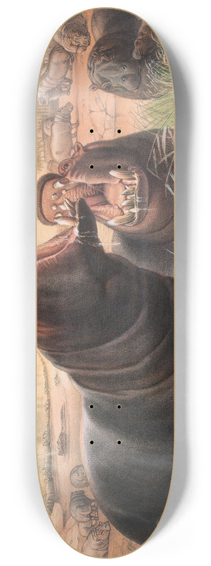 Joseph Wolf - The Hippopotamus 8.25 inch art skate deck