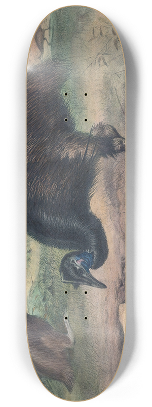 Joseph Wolf - The Mooruk 8.25 inch art skate deck
