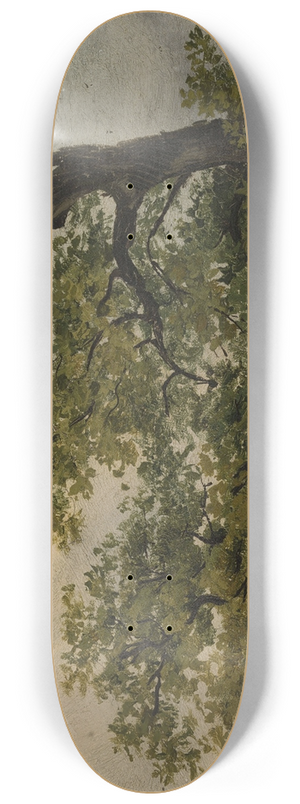 Julius Schoppe - Trees 8.25 inch art skate deck