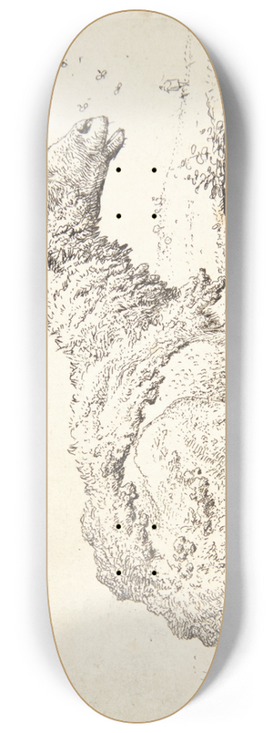 Karel Dujardin - Fret og fluerne 8.25 inch art skate deck Karel Dujardin - Fret og fluerne 8.25 inch art skate deck