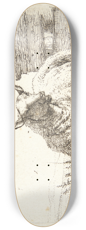 Karel Dujardin - Liggende fr nr et trgrde 8.25 inch art skate deck